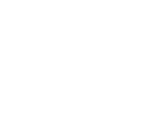 Open Society - Georgia Foundation