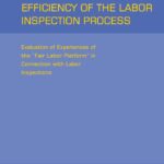 Credibility and effectiveness of Georgian's Labor Inspection process-report summary